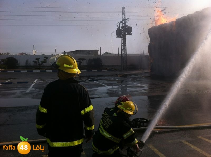 fireludkartoonmasna34 (56).JPG